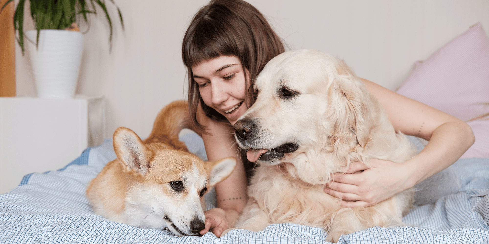 Image produit - Banner-2